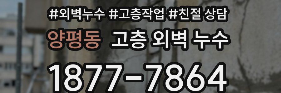 양평동 고층 외벽 누수