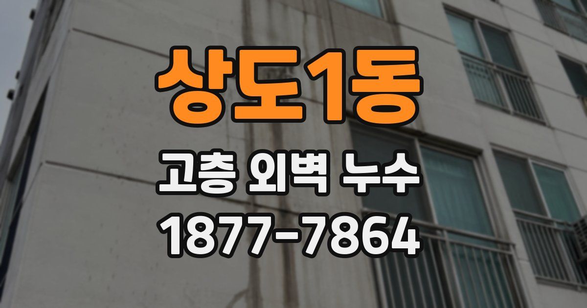 상도1동 고층 외벽 누수