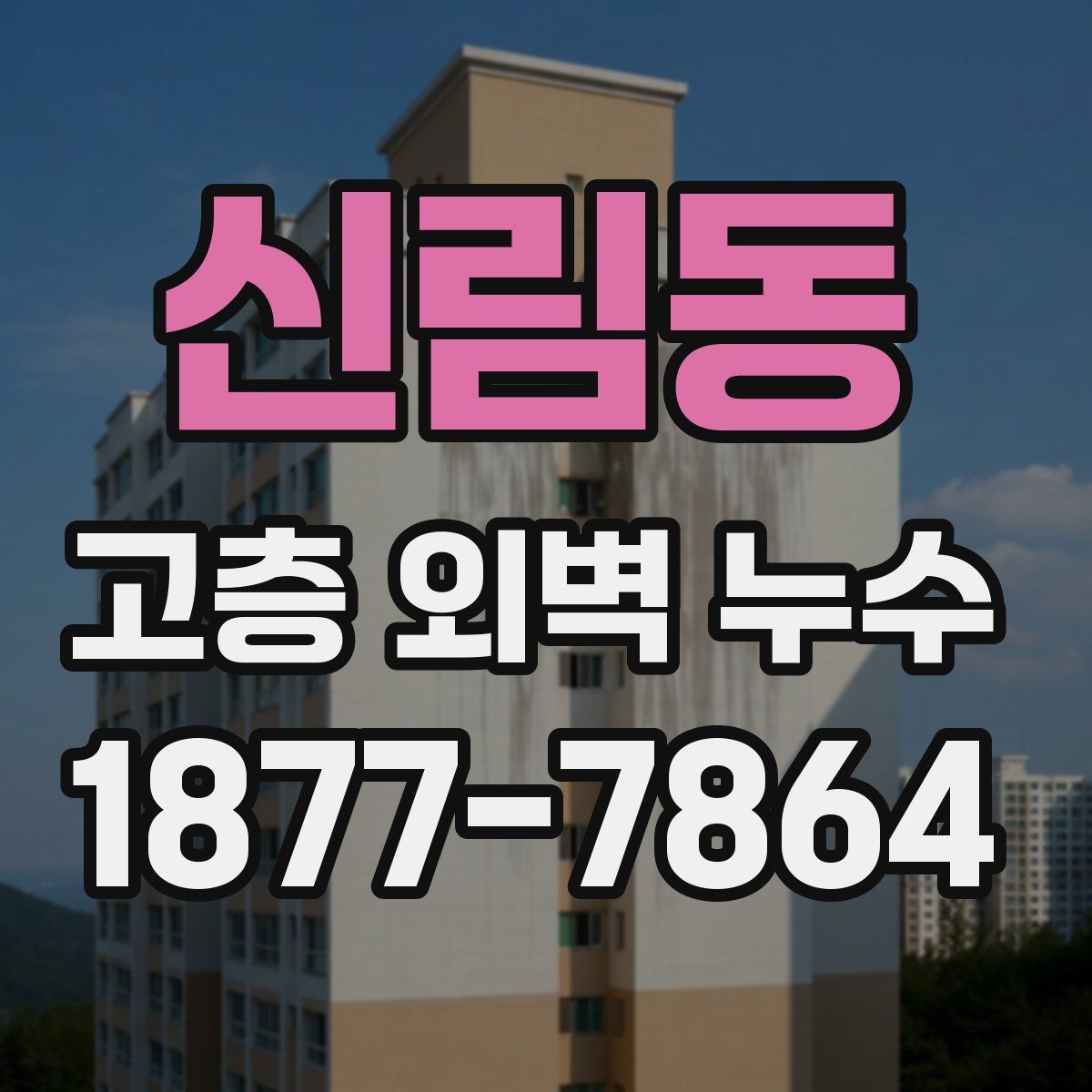 신림동 고층 외벽 누수