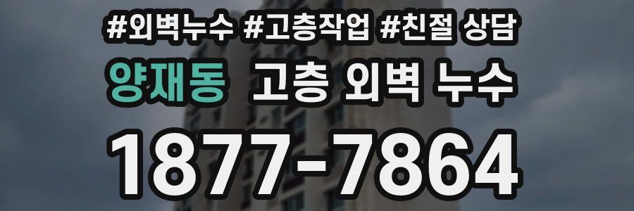 양재동 고층 외벽 누수