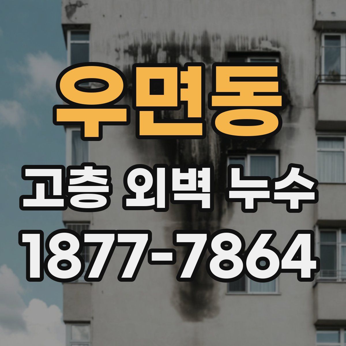 우면동 고층 외벽 누수
