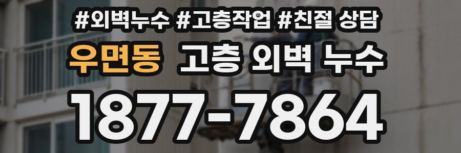 우면동 고층 외벽 누수