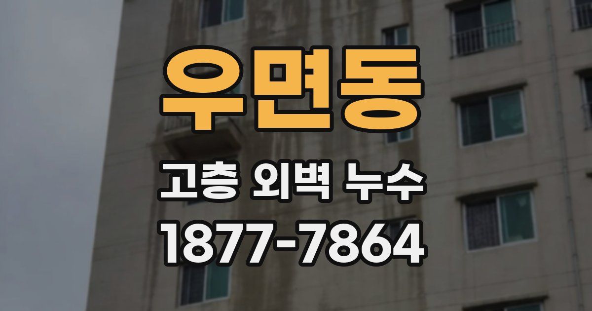 우면동 고층 외벽 누수