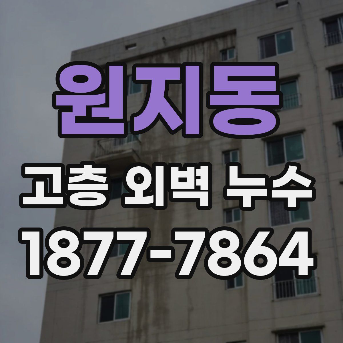 원지동 고층 외벽 누수