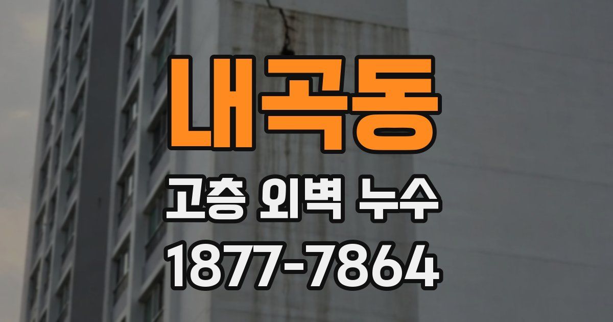 내곡동 고층 외벽 누수