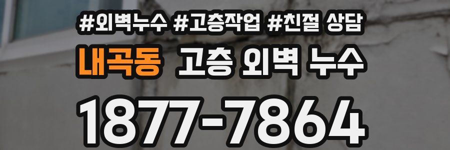 내곡동 고층 외벽 누수