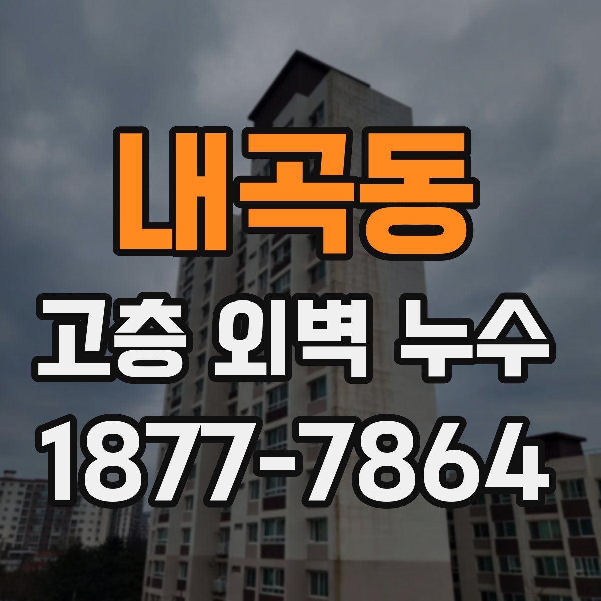 내곡동 고층 외벽 누수