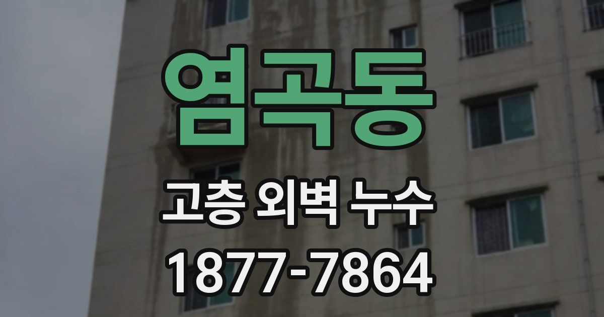 염곡동 고층 외벽 누수