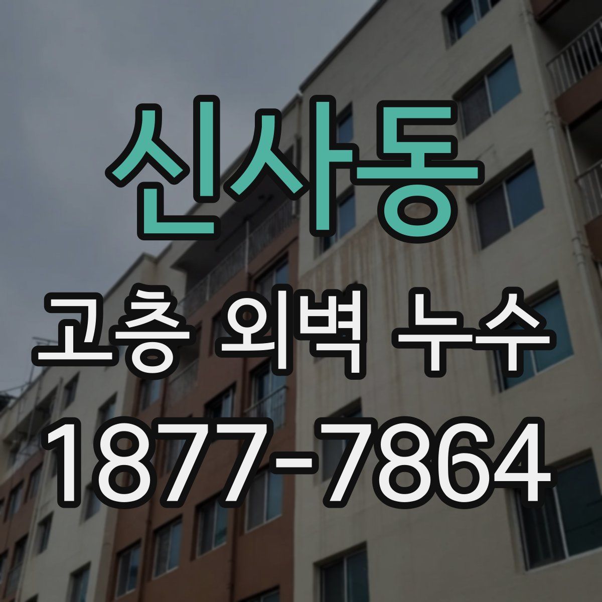 신사동 고층 외벽 누수