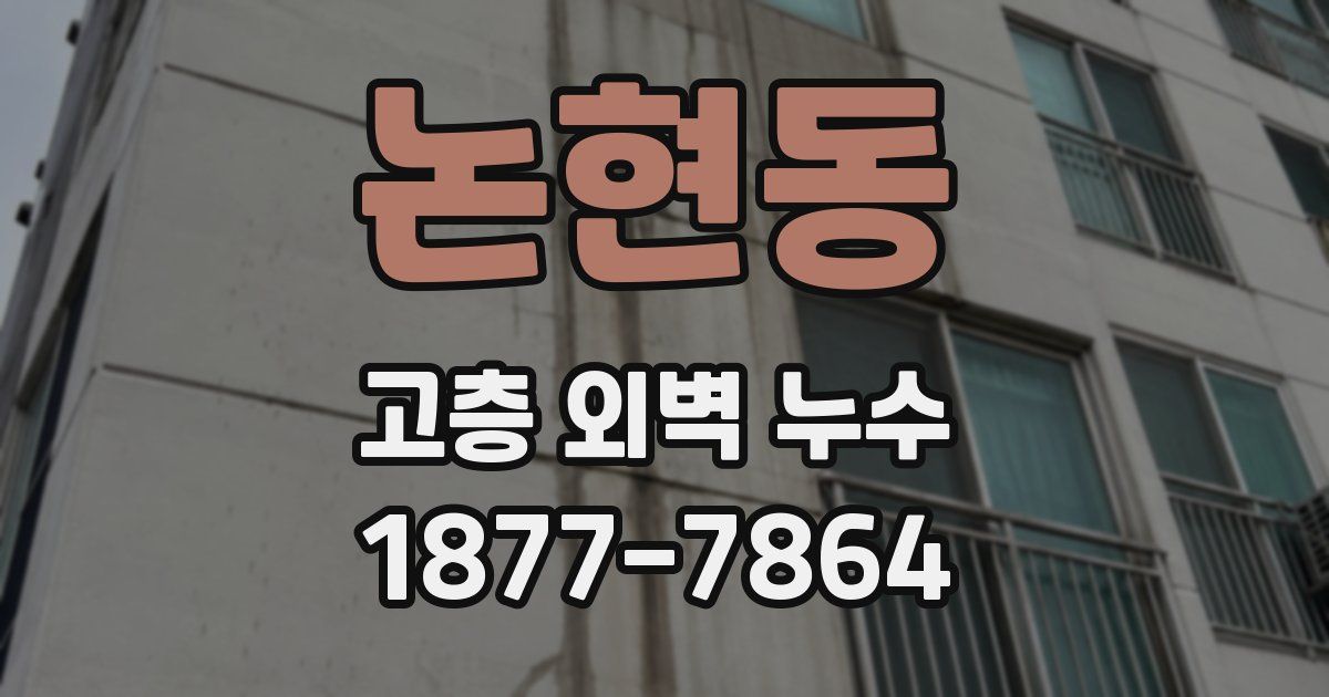 논현동 고층 외벽 누수