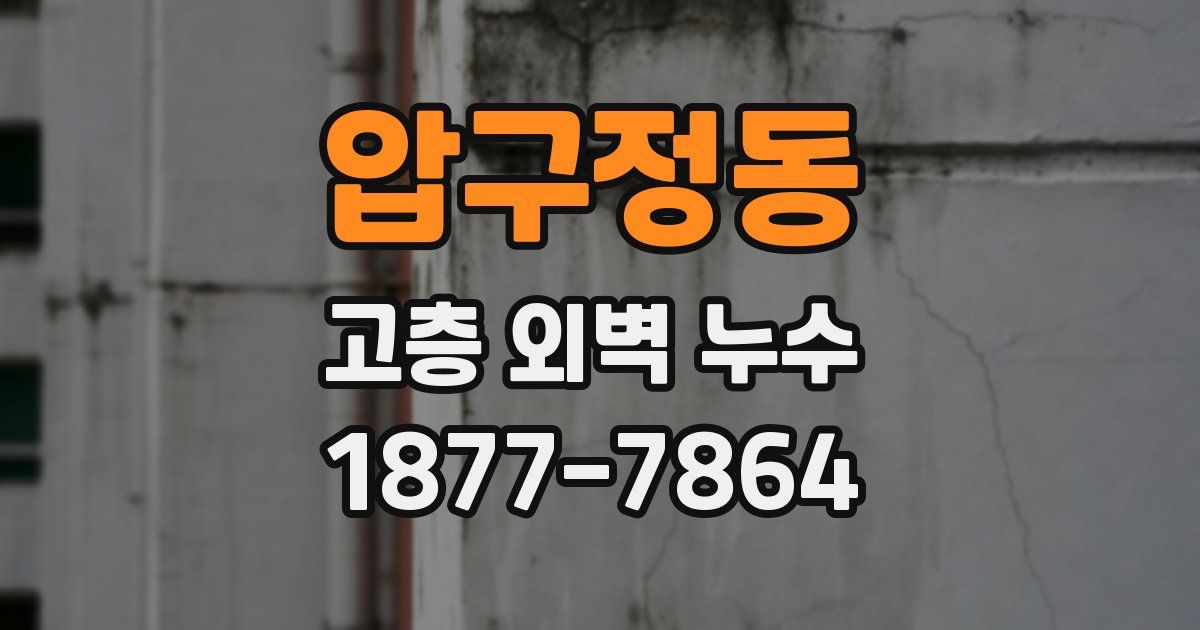압구정동 고층 외벽 누수
