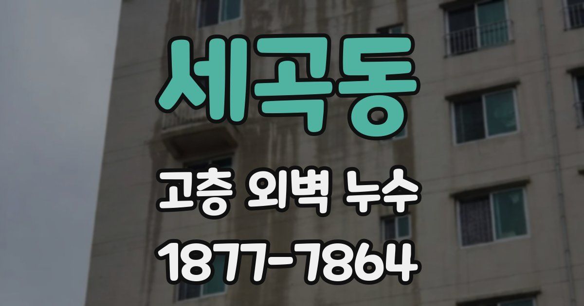세곡동 고층 외벽 누수