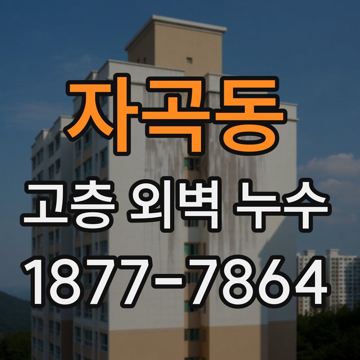 자곡동 고층 외벽 누수