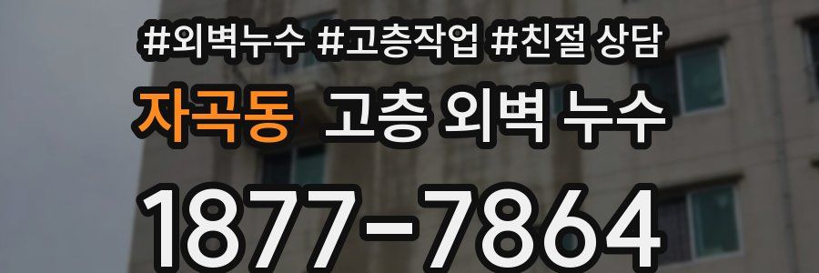 자곡동 고층 외벽 누수