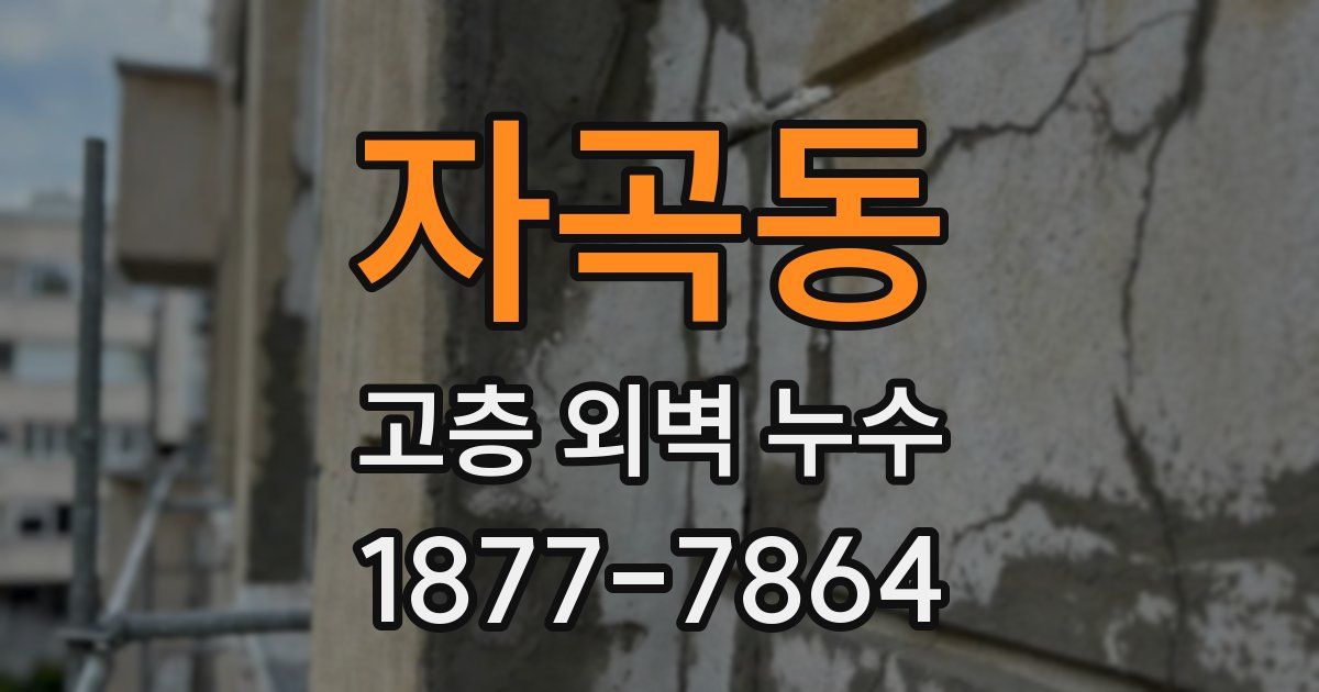 자곡동 고층 외벽 누수