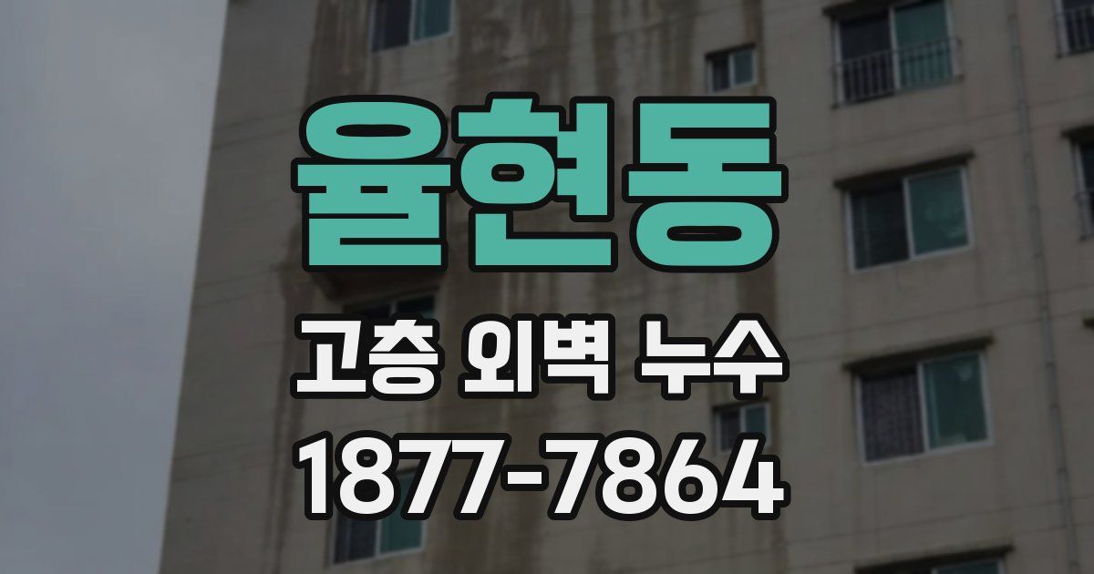 율현동 고층 외벽 누수