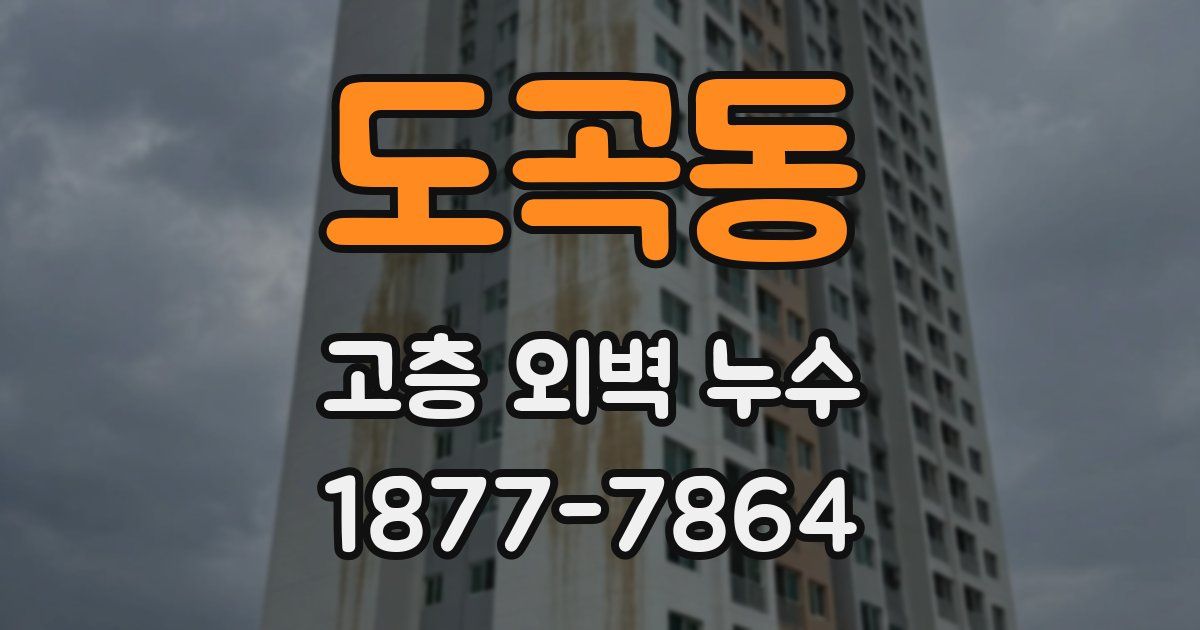 도곡동 고층 외벽 누수