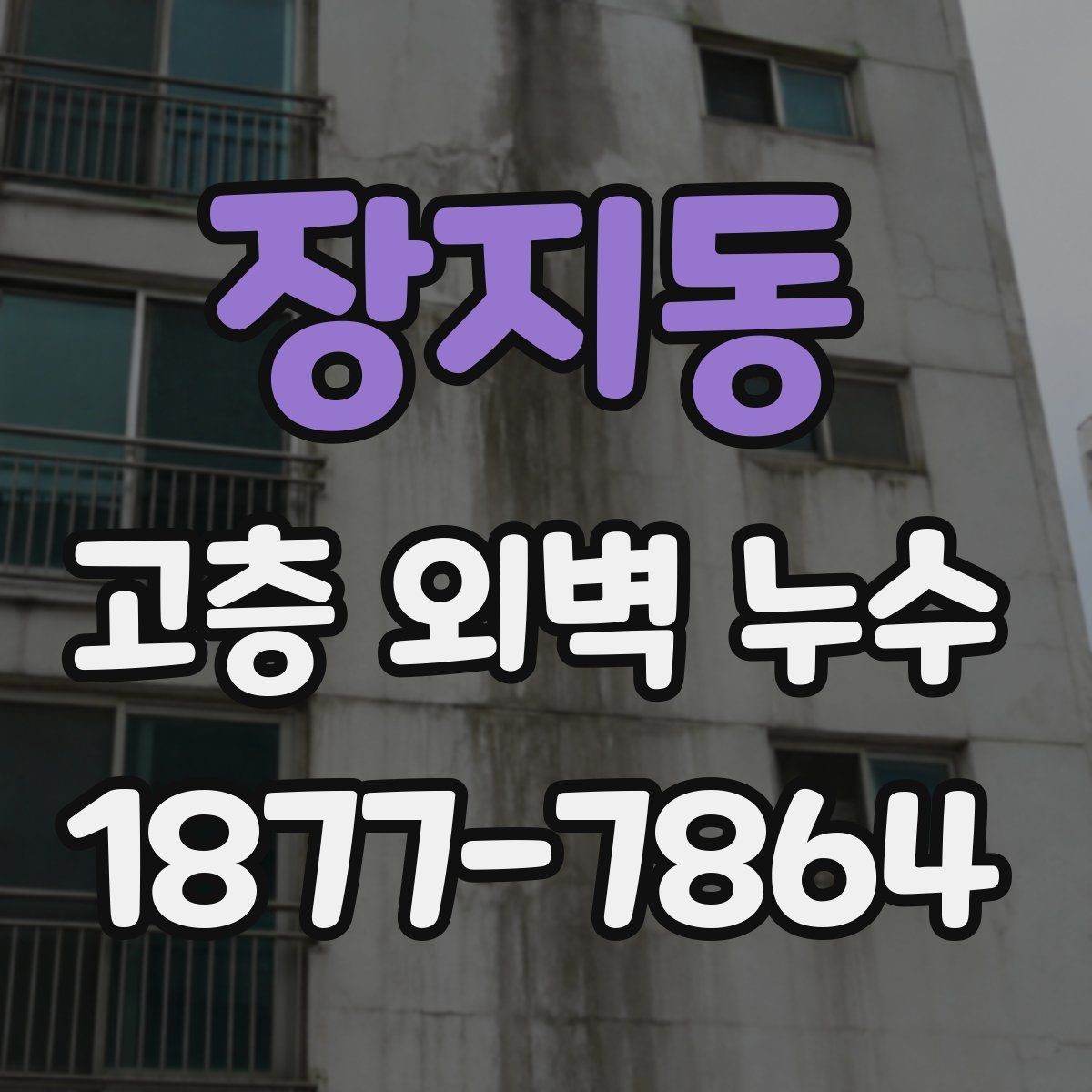 장지동 고층 외벽 누수 흔한 원인과 대응 방법