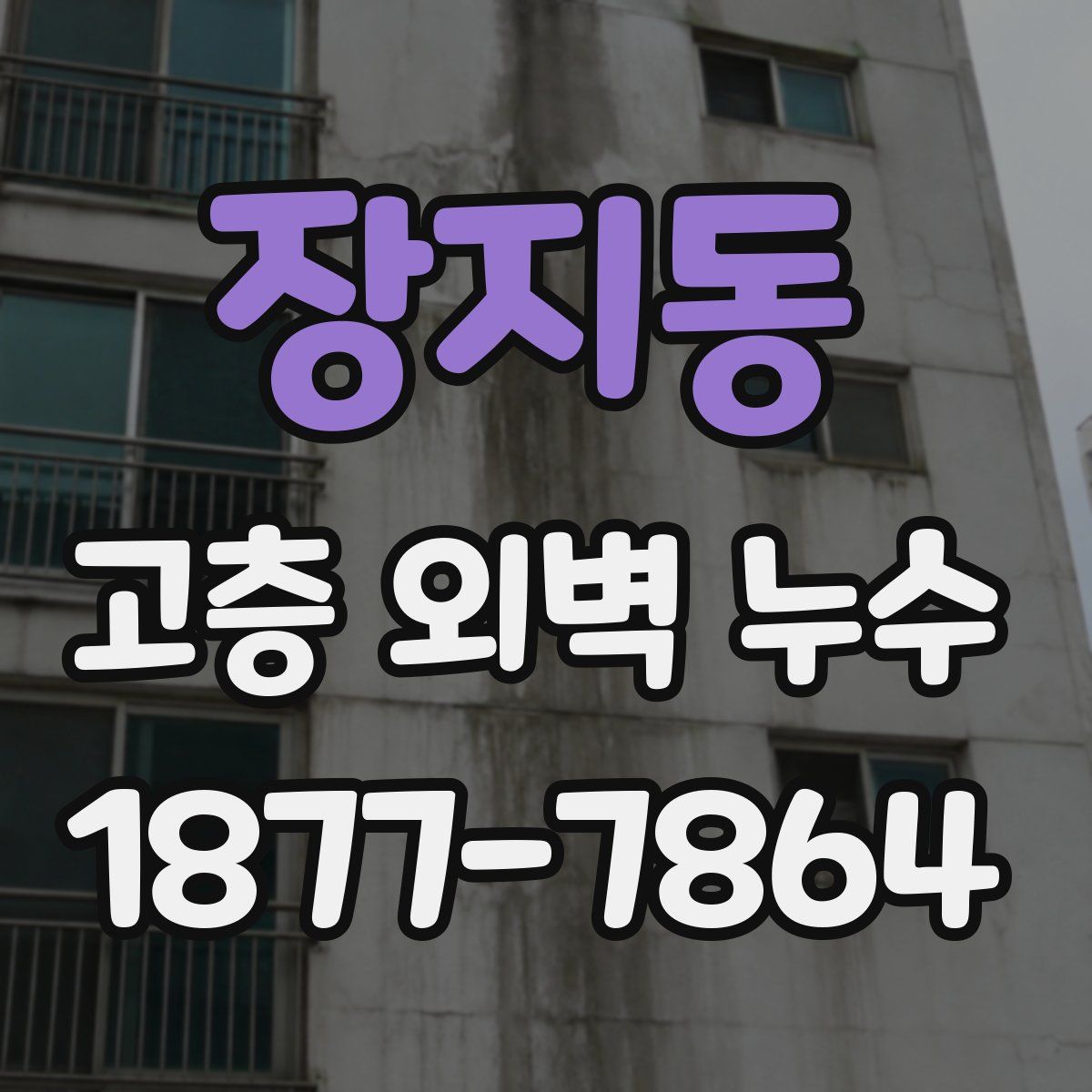 장지동 고층 외벽 누수