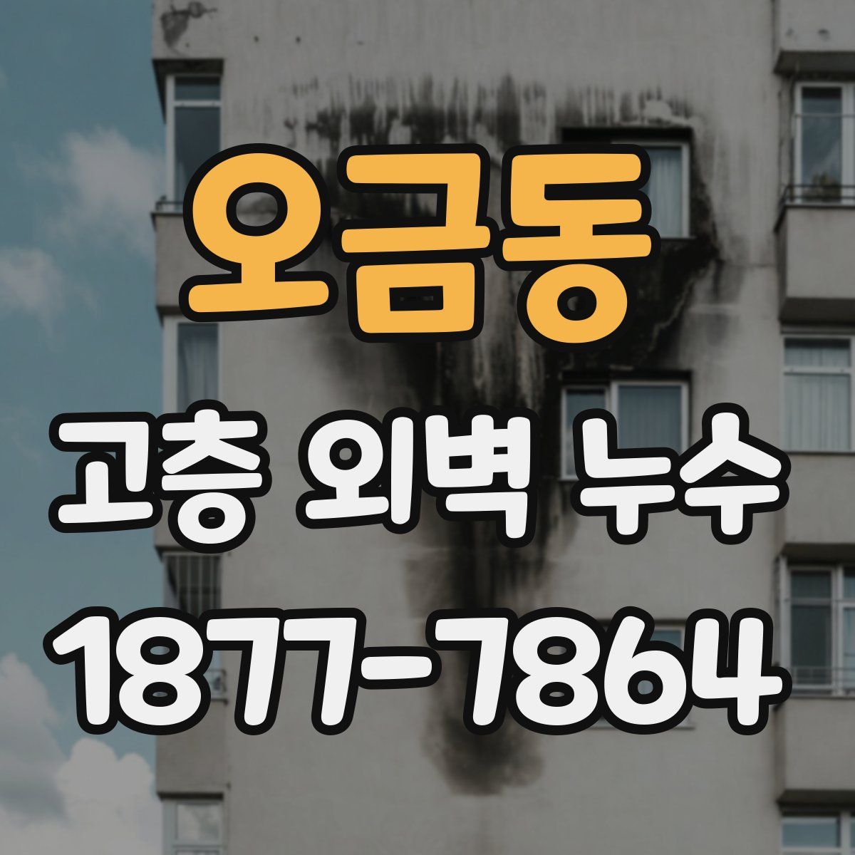 오금동 고층 외벽 누수