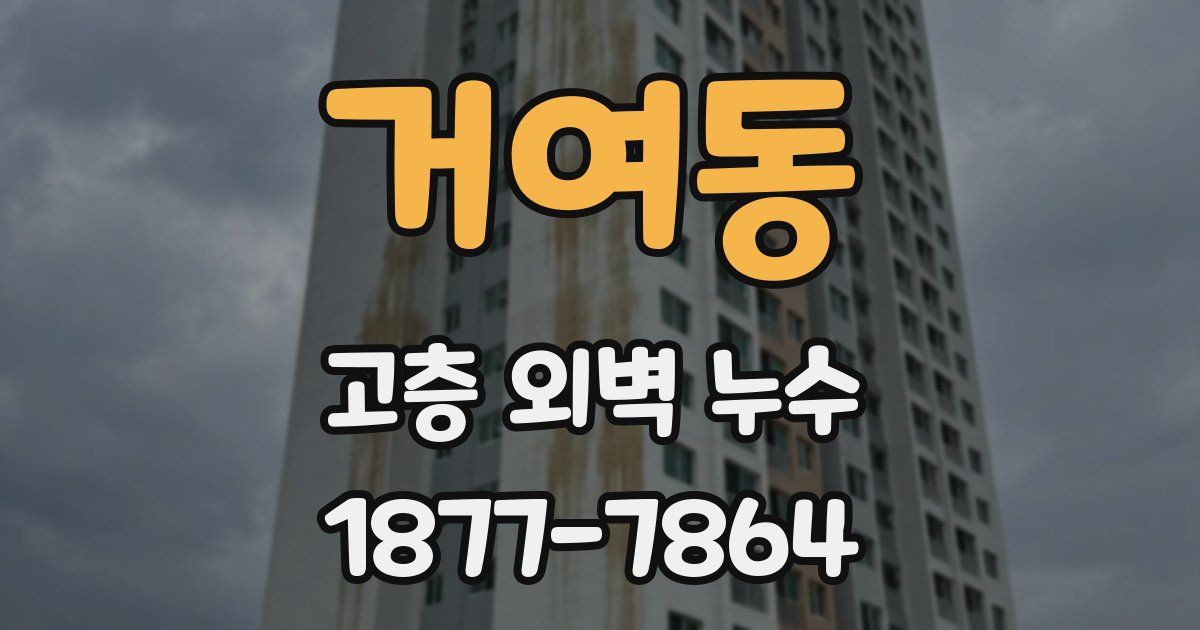 거여동 고층 외벽 누수