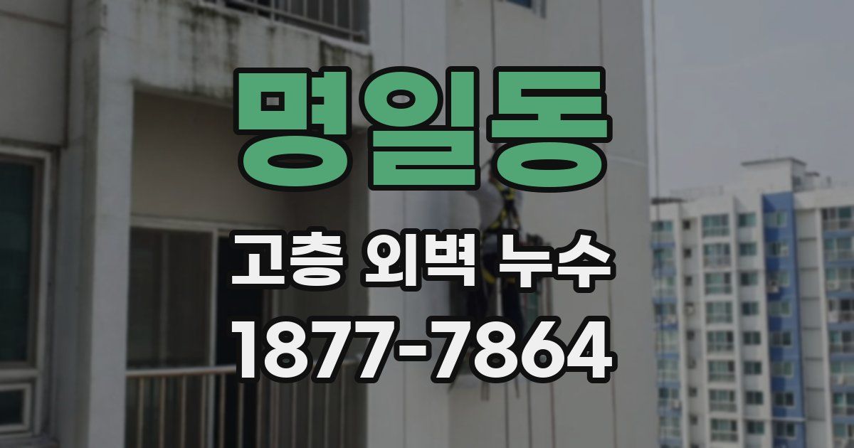 명일동 고층 외벽 누수