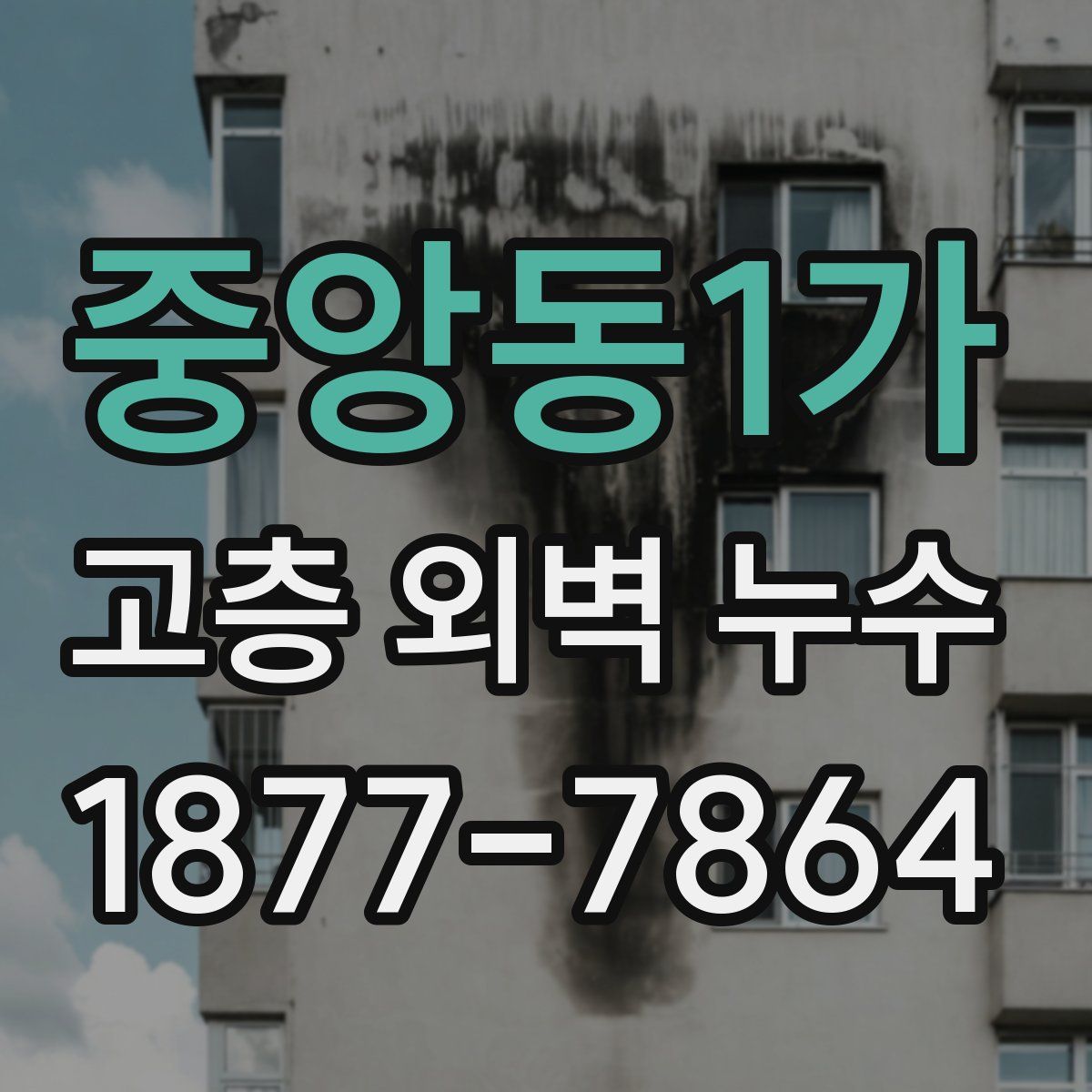 중앙동1가 고층 외벽 누수