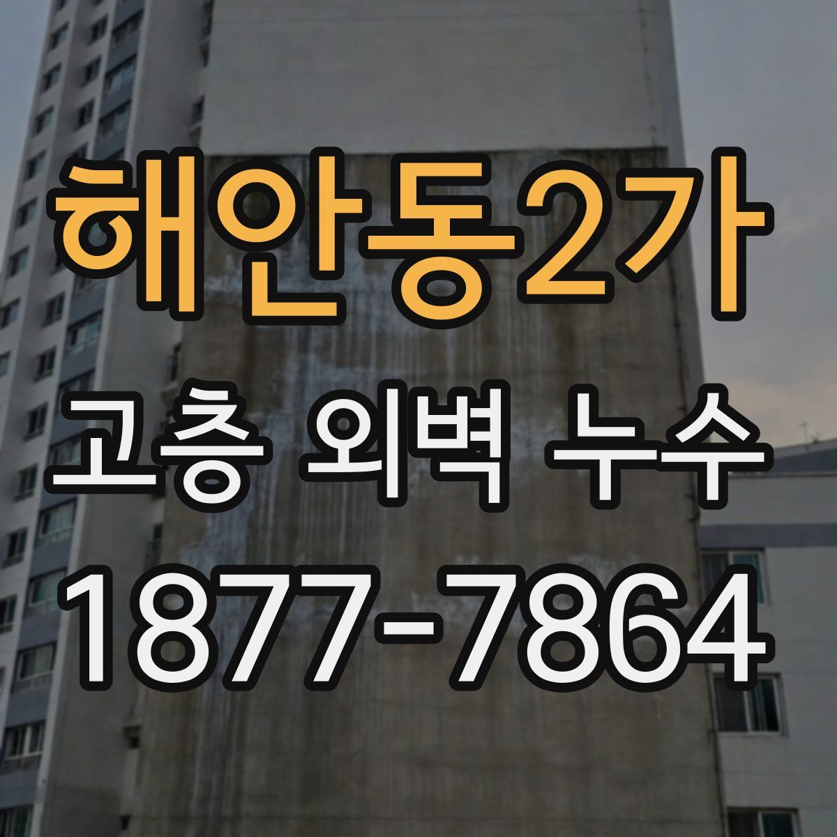 해안동2가 고층 외벽 누수
