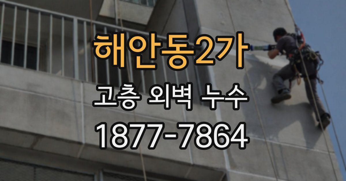 해안동2가 고층 외벽 누수