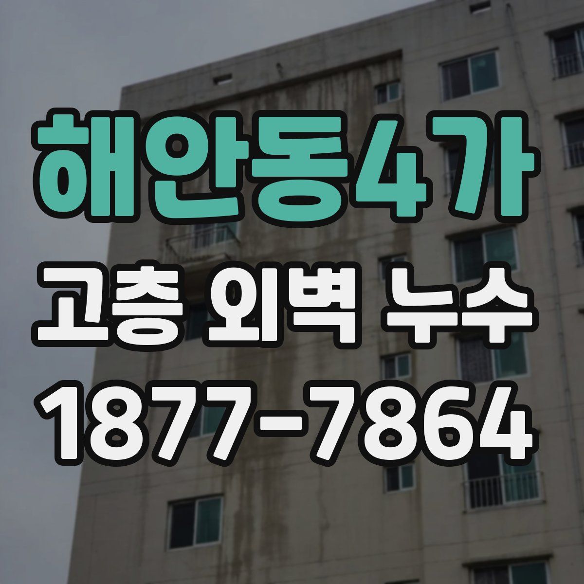 해안동4가 고층 외벽 누수