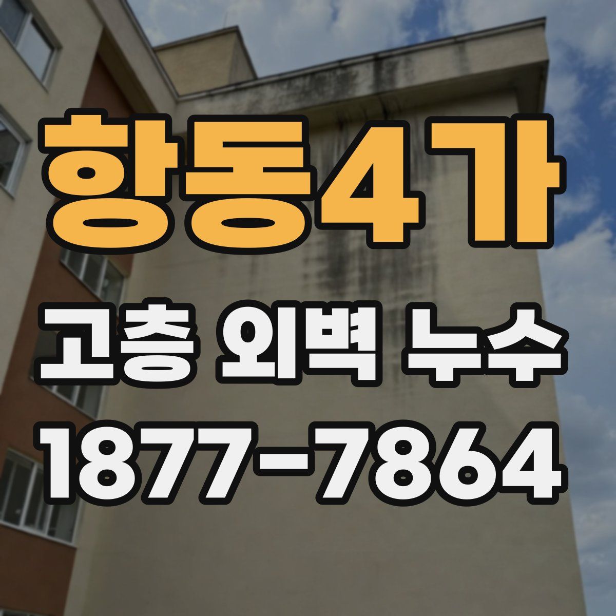 항동4가 고층 외벽 누수