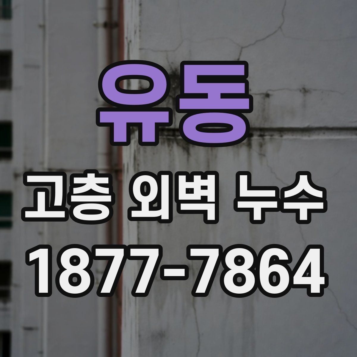 유동 고층 외벽 누수 보수 사례로 알아보는 실전 팁