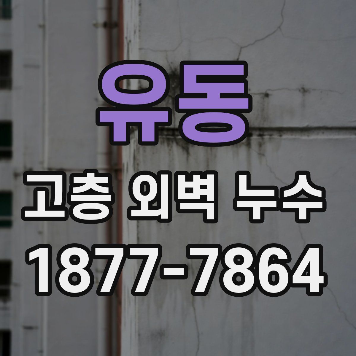 유동 고층 외벽 누수