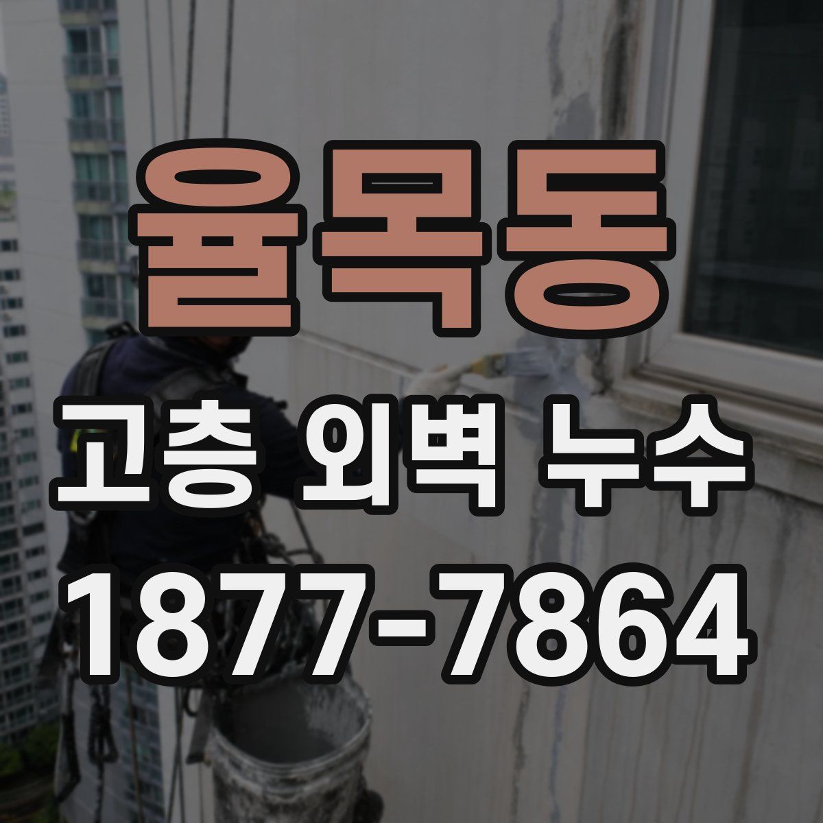 율목동 고층 외벽 누수