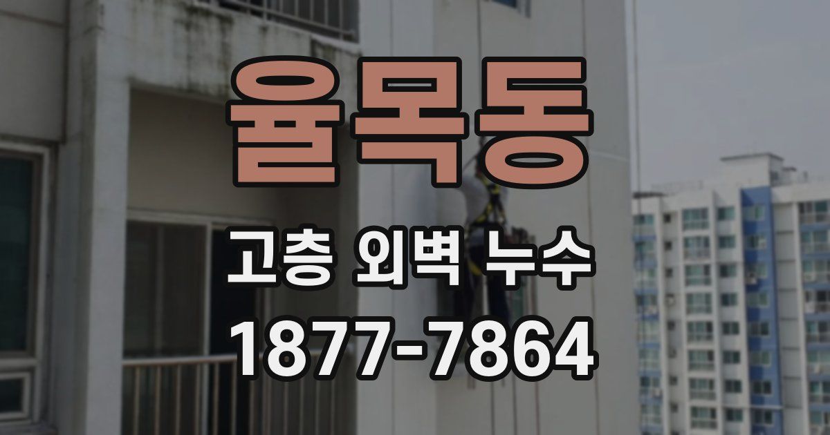 율목동 고층 외벽 누수