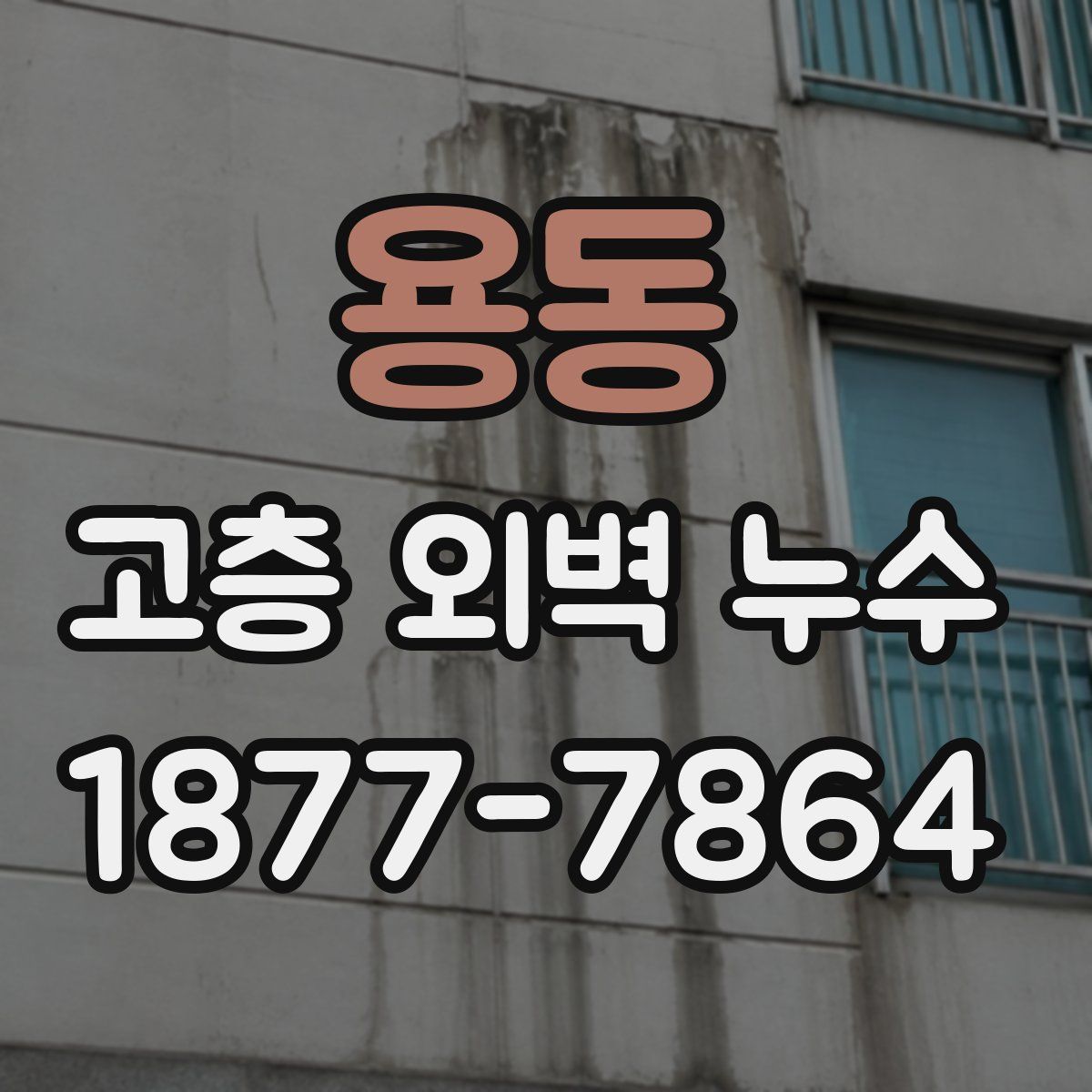 용동 고층 외벽 누수