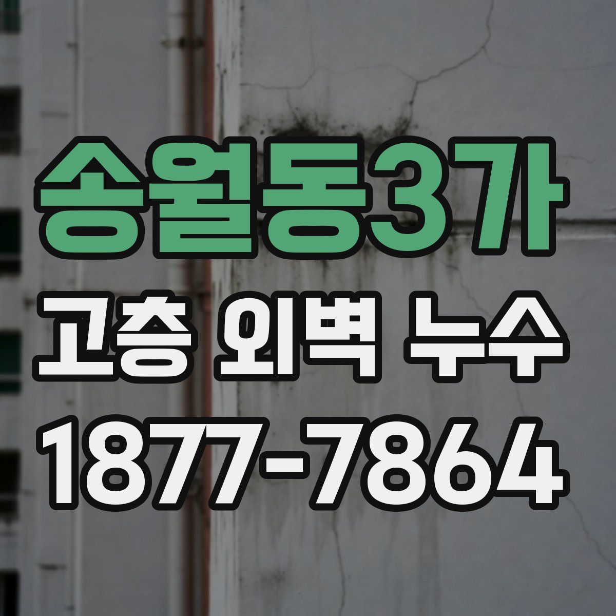 송월동3가 고층 외벽 누수