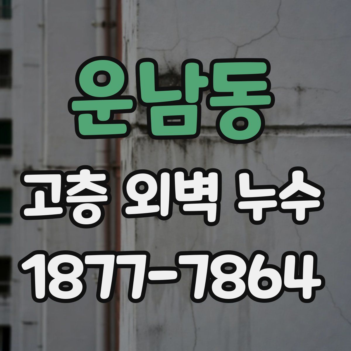 운남동 고층 외벽 누수