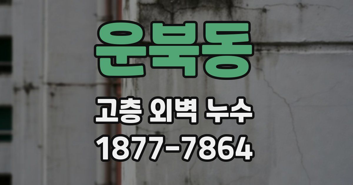 운북동 고층 외벽 누수