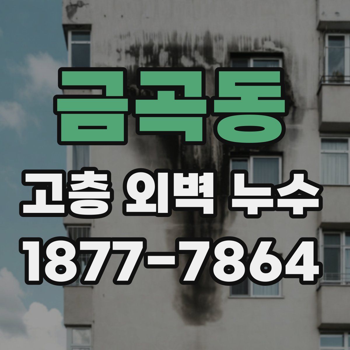 금곡동 고층 외벽 누수