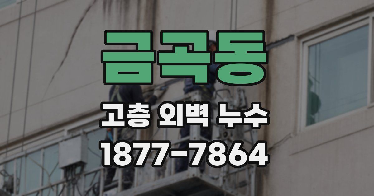 금곡동 고층 외벽 누수