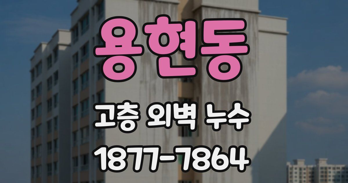 용현동 고층 외벽 누수