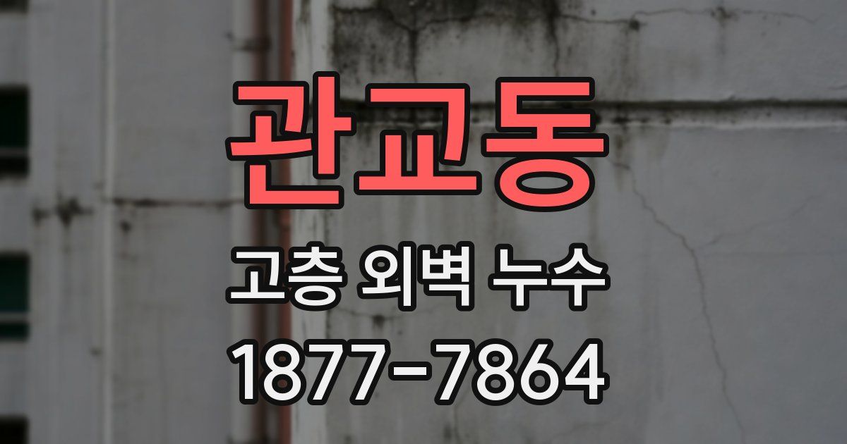 관교동 고층 외벽 누수