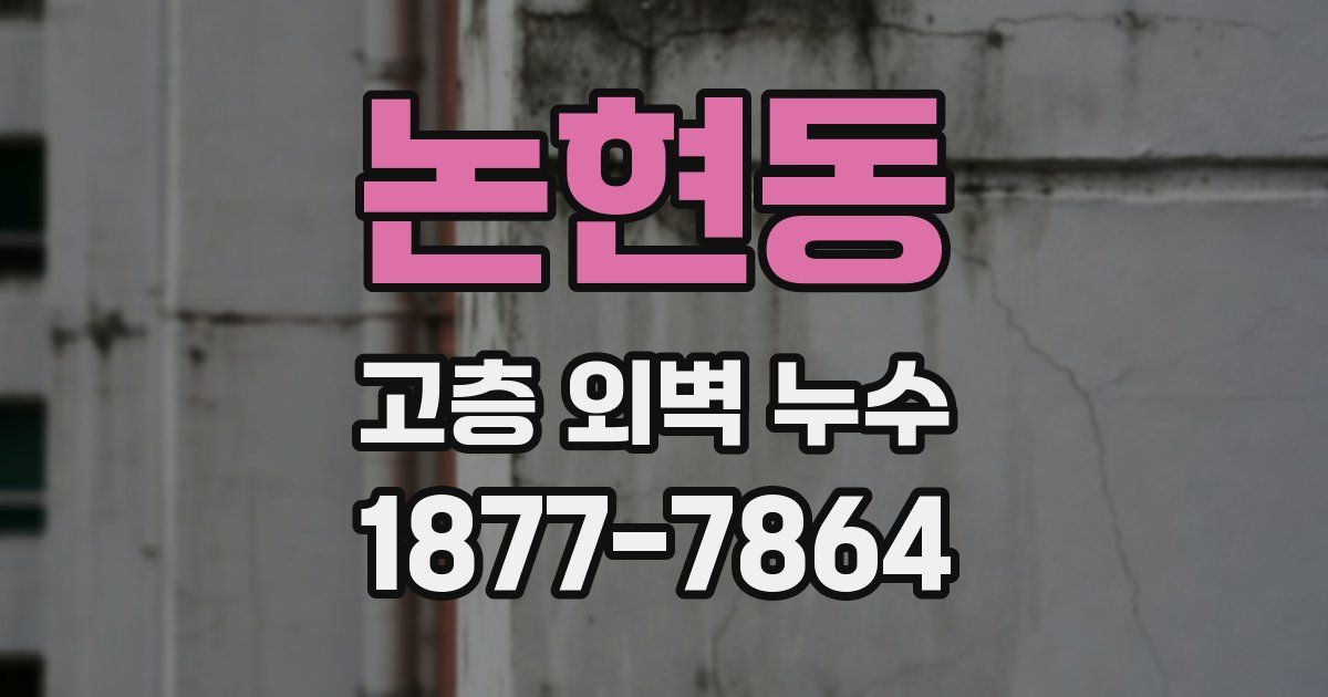 논현동 고층 외벽 누수