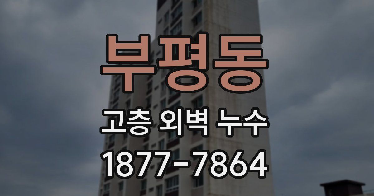 부평동 고층 외벽 누수