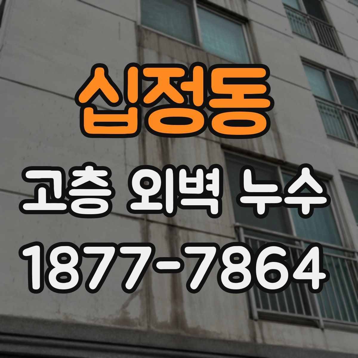 십정동 고층 외벽 누수