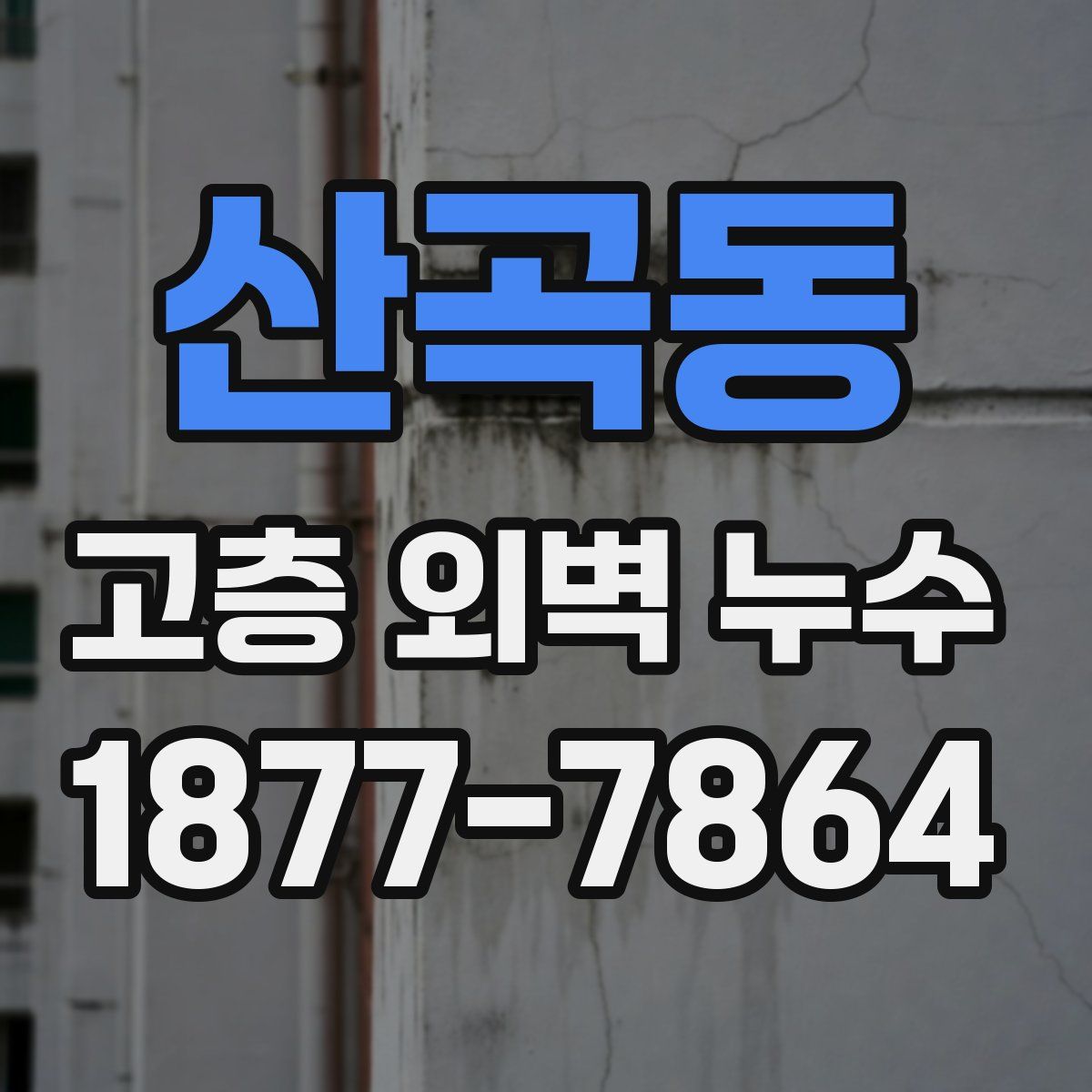 산곡동 고층 외벽 누수