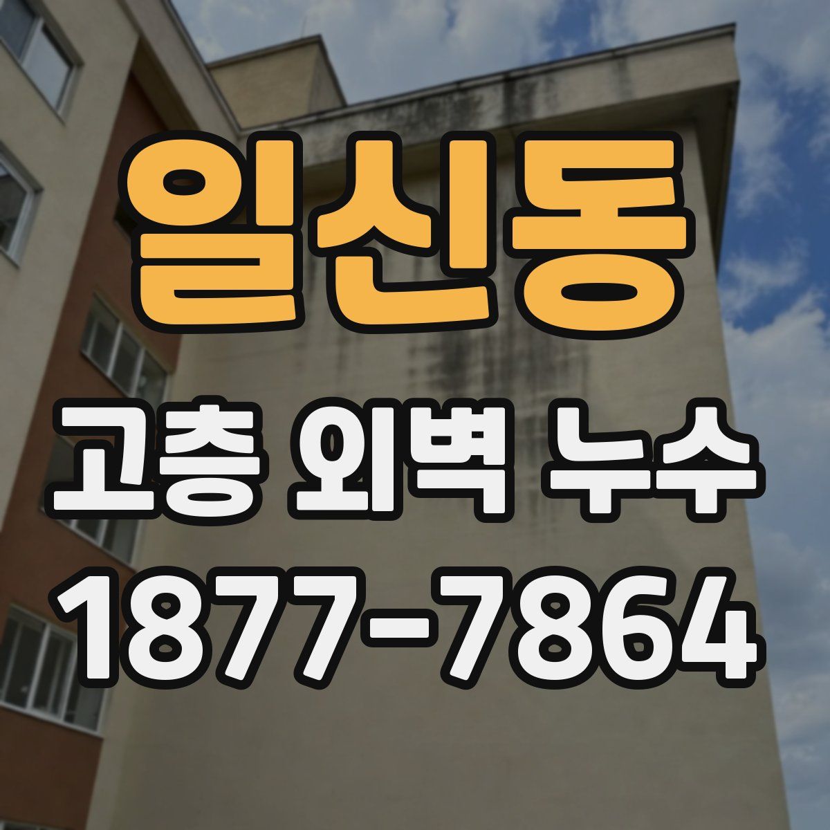 일신동 고층 외벽 누수