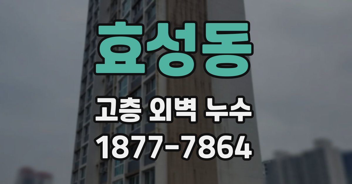 효성동 고층 외벽 누수