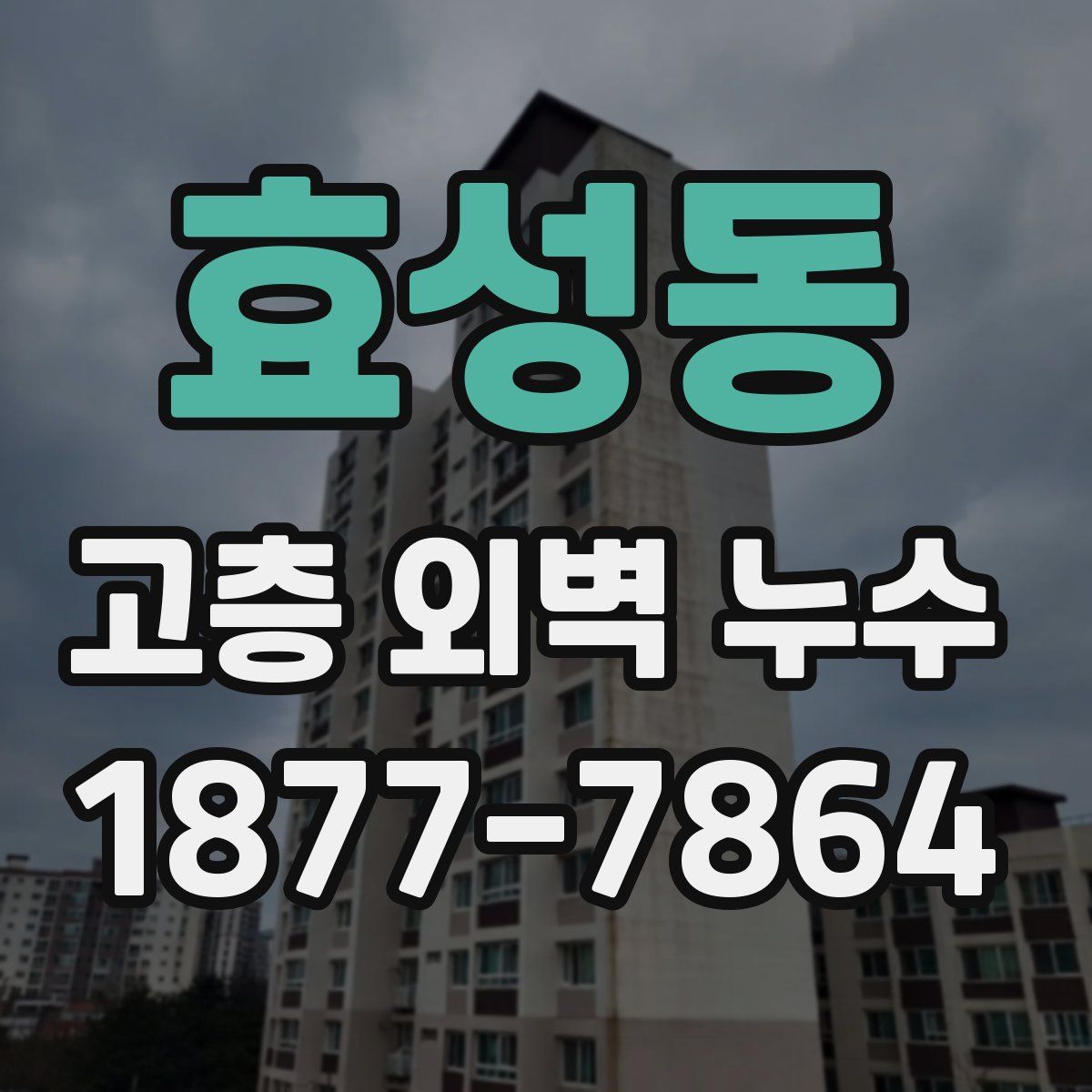 효성동 고층 외벽 누수